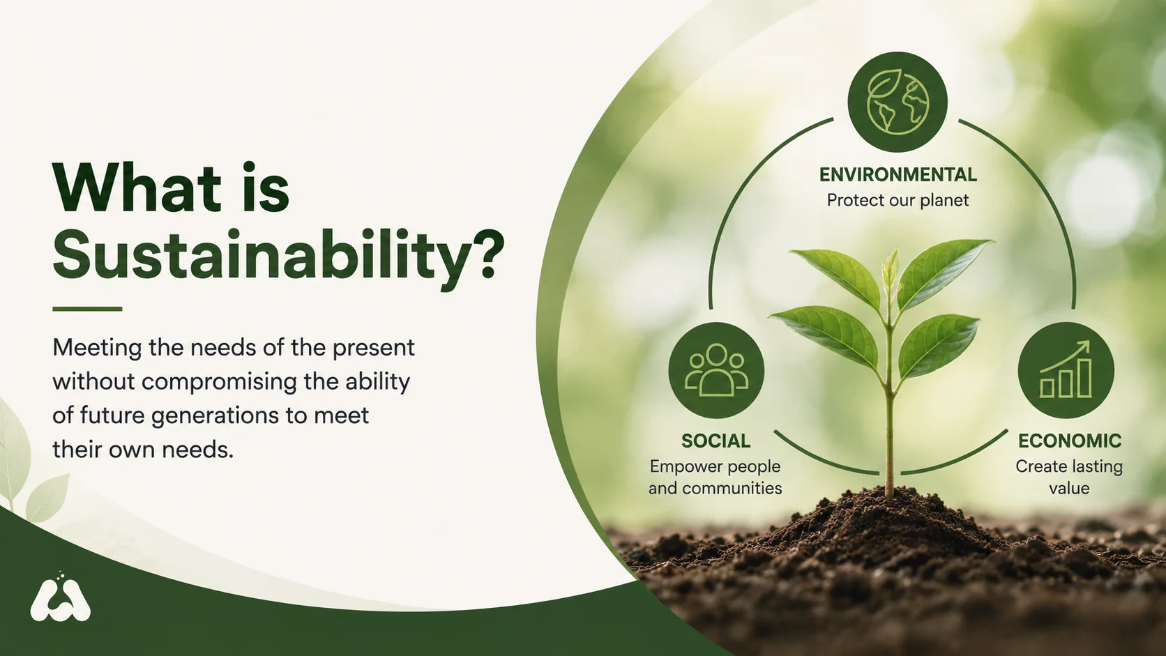 What Is Sustainability?