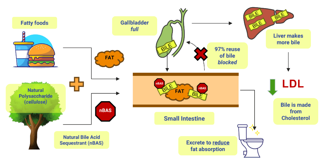 Natural Bile Acid Sequestrant (NBAS)